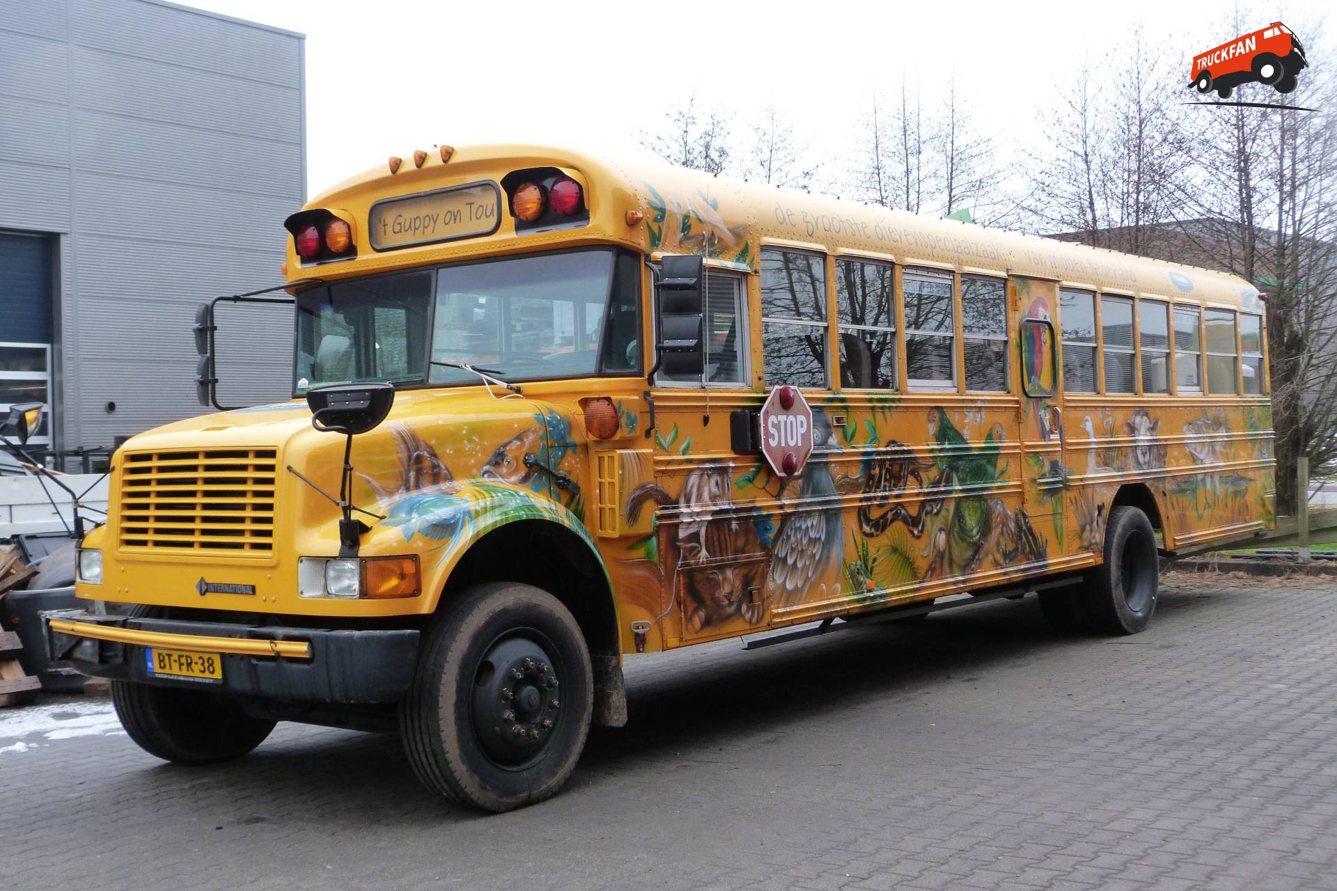 International schoolbus